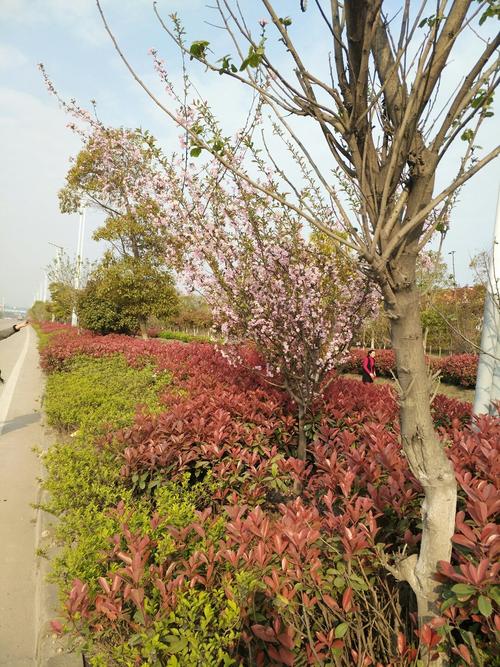 江西丰城梅林镇房价现在多少钱一平？-第2张图片-花冠旅游服务