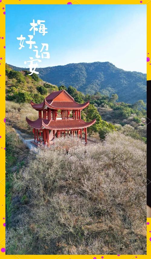 福建省诏安县旅游景点-第1张图片-花冠旅游服务