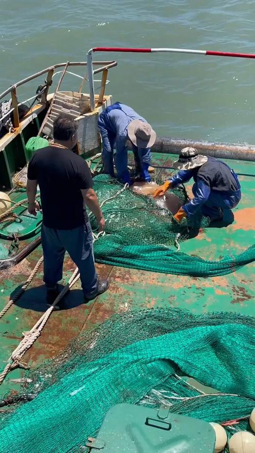 福建出海打鱼最佳月份是几月？-第3张图片-花冠旅游服务