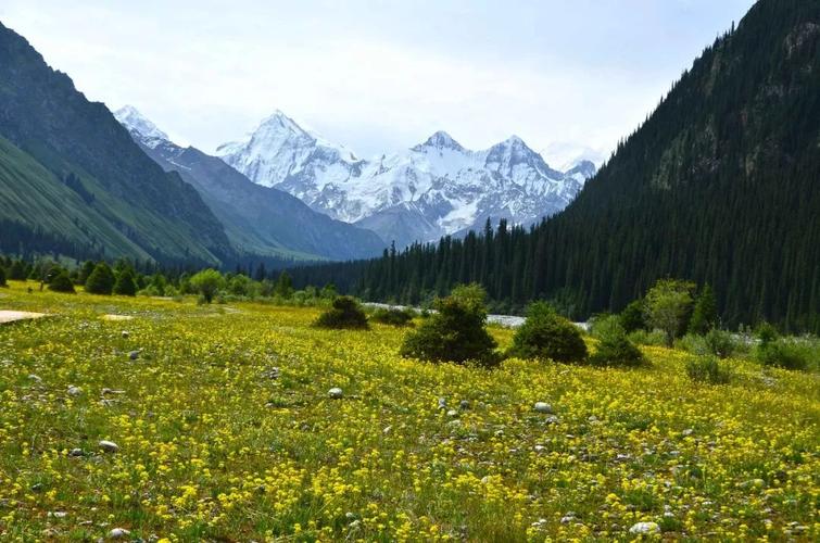 新疆去哈萨克斯坦签证怎么办？-第3张图片-花冠旅游服务