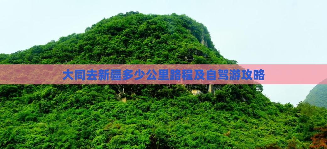 大同到新疆自驾游攻略有哪些必备要点？-第1张图片-花冠旅游服务