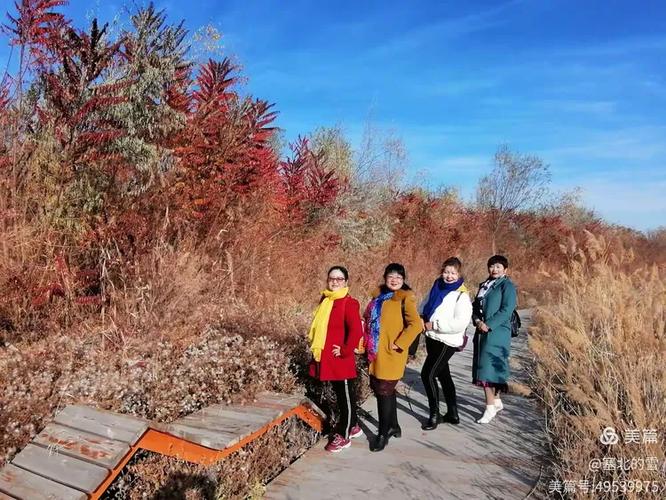 新疆克拉玛依东湖公园-第2张图片-花冠旅游服务