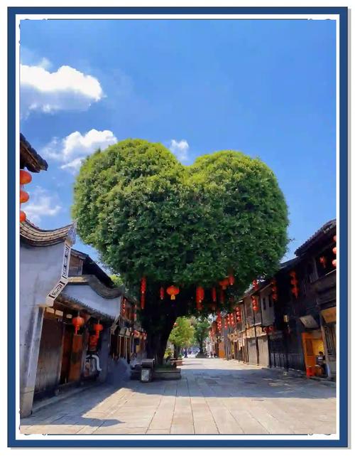 福建三坊七巷附近有哪些必游景点？-第3张图片-花冠旅游服务