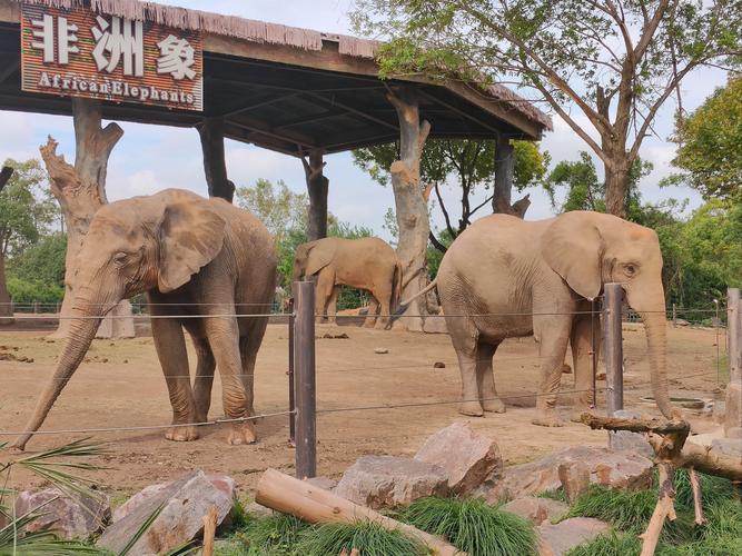 福建野生动物园在哪里？-第3张图片-花冠旅游服务