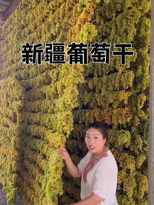 新疆吐鲁番葡萄干有何独特之处？-第3张图片-花冠旅游服务