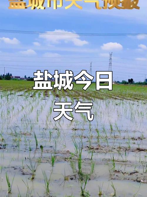 江西盐城一周天气怎么样？-第1张图片-花冠旅游服务