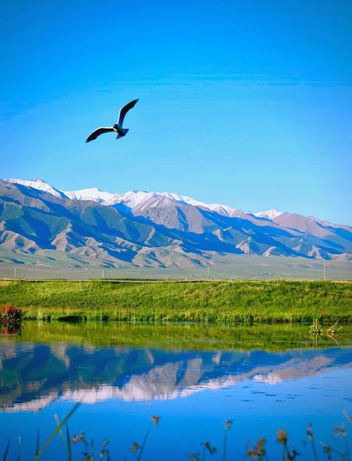 暑假新疆哪里最好玩？-第3张图片-花冠旅游服务
