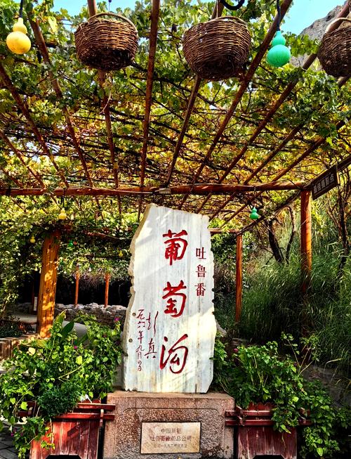 新疆吐鲁番葡萄沟门票多少钱？-第3张图片-花冠旅游服务