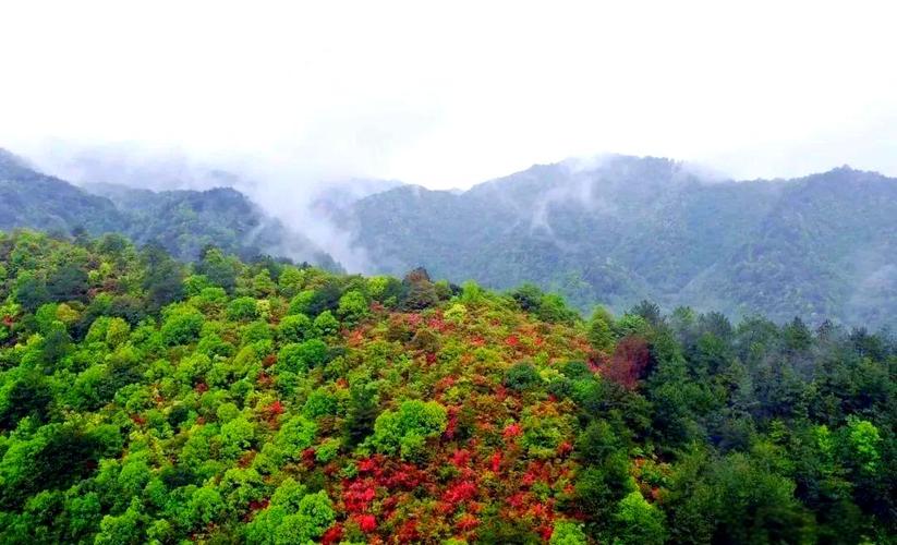 江西岑山国家森林公园有何独特魅力？-第2张图片-花冠旅游服务