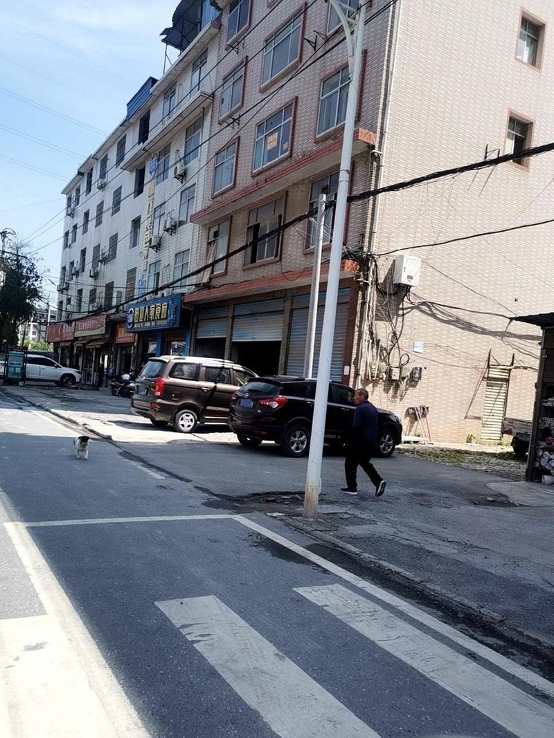 梅园东路有何特色或故事？-第3张图片-花冠旅游服务