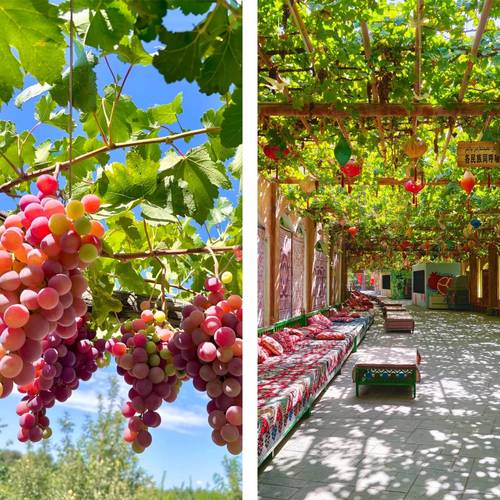 喀什为何被称为新疆最危险的地方？-第3张图片-花冠旅游服务