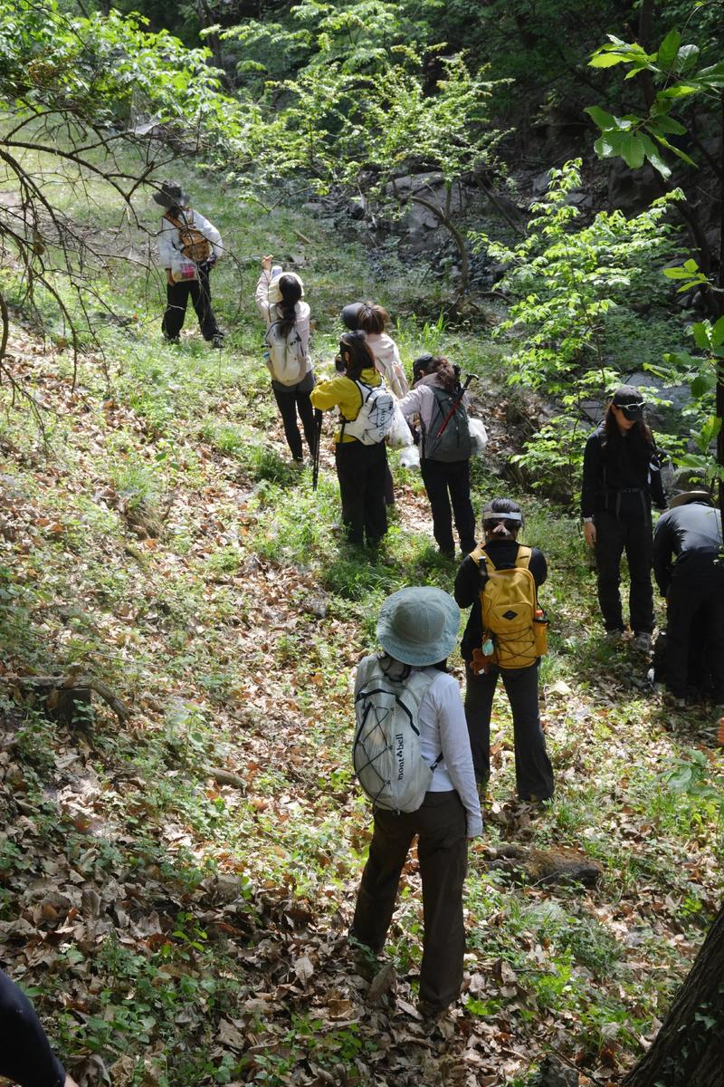 福建原始森林野外生存如何挑战极限？-第1张图片-花冠旅游服务