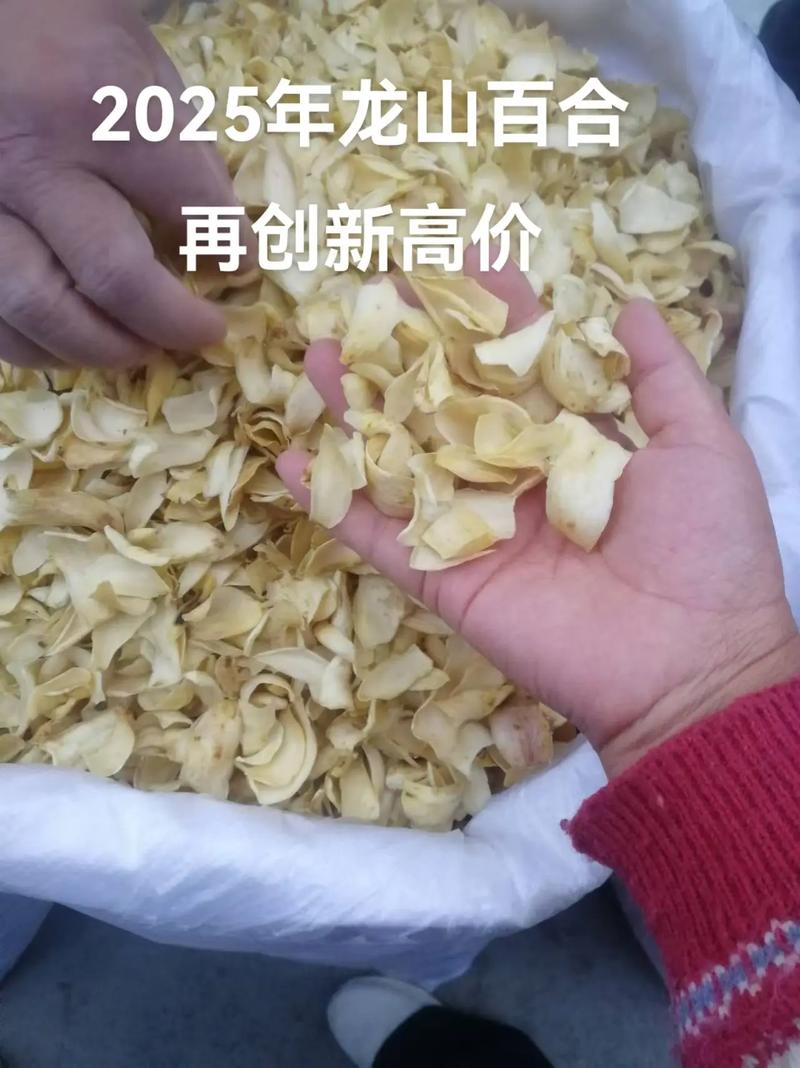 福建延平百合批发电话是多少？-第1张图片-花冠旅游服务