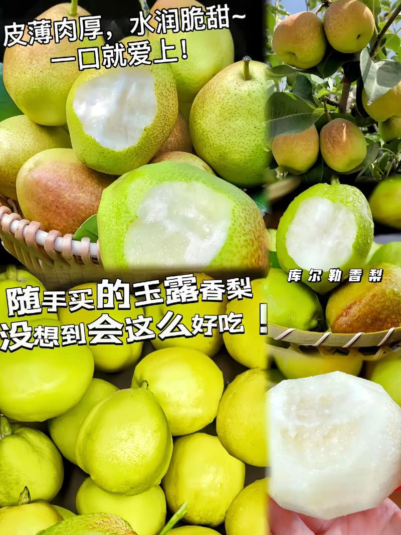 新疆库尔勒有哪些特色特产?-第2张图片-花冠旅游服务 新疆库尔勒有哪些特色特产?-第2张图片-花冠旅游服务