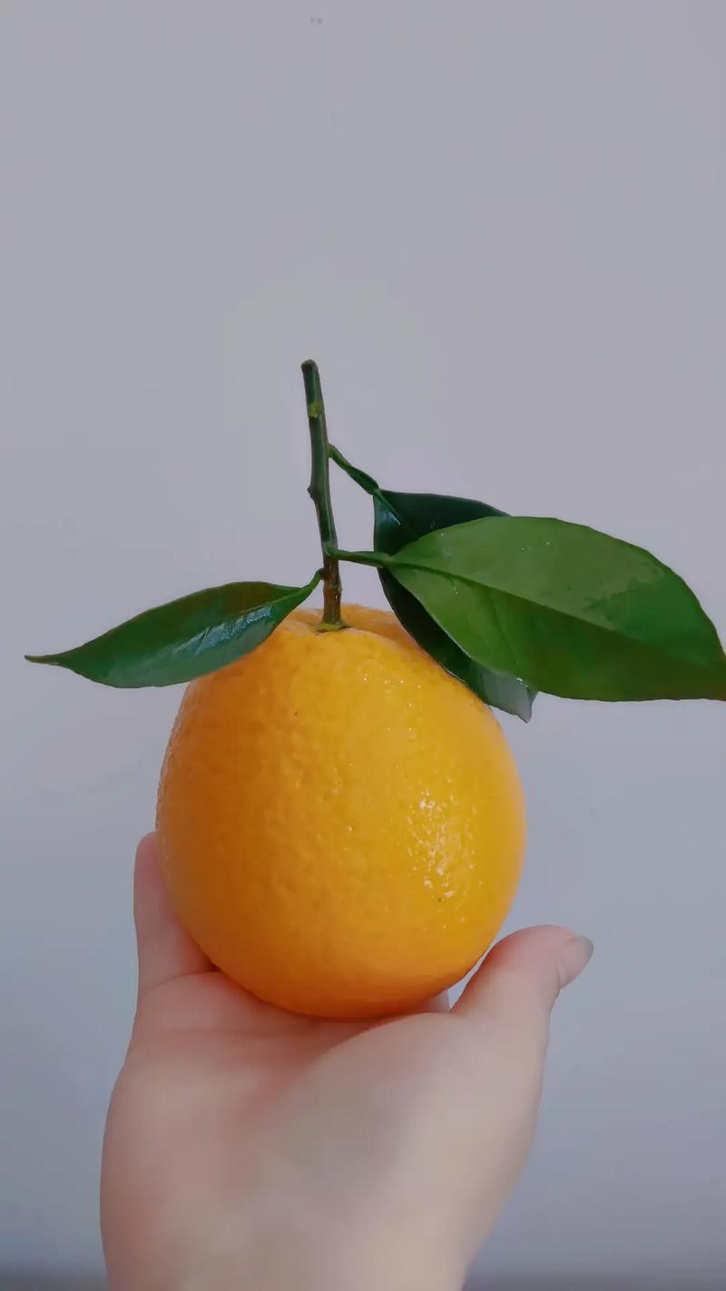 江西安远必吃美食有哪些？-第3张图片-花冠旅游服务