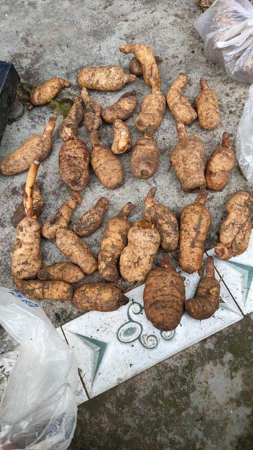 江西寻乌县有哪些特色特产？-第3张图片-花冠旅游服务