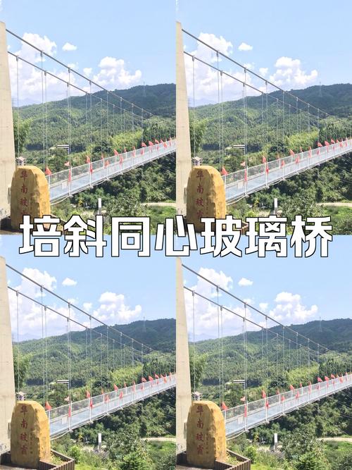 福建哪里能建玻璃桥？-第1张图片-花冠旅游服务