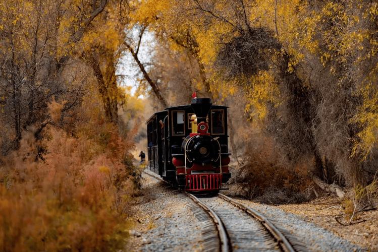 2025新疆摄影团何时出发？怎么报名？-第1张图片-花冠旅游服务