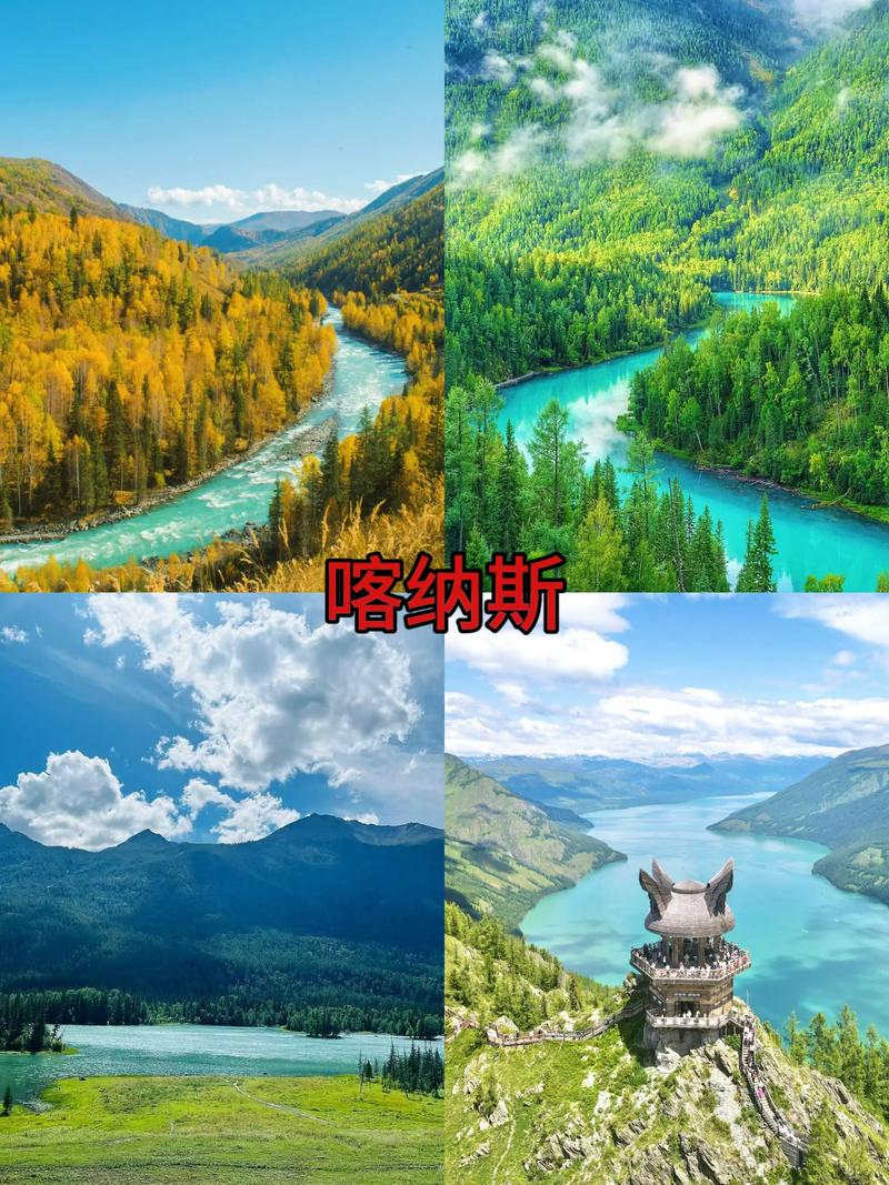 新疆喀纳斯在哪个城市-第1张图片-花冠旅游服务