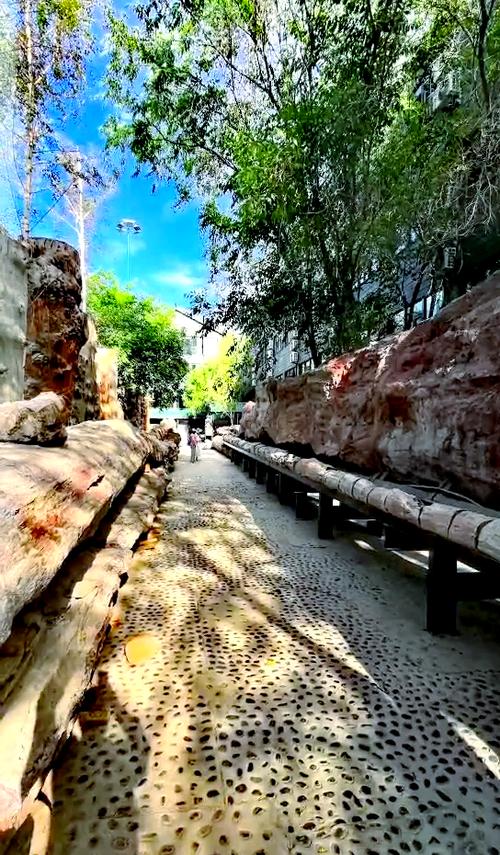 新疆乌鲁木齐野马酒店有何独特之处？-第1张图片-花冠旅游服务