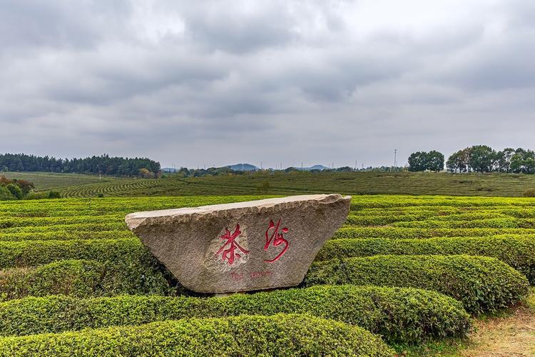 江西凤凰沟风景区怎么玩最尽兴?-第3张图片-花冠旅游服务 江西凤凰沟风景区怎么玩最尽兴?-第3张图片-花冠旅游服务