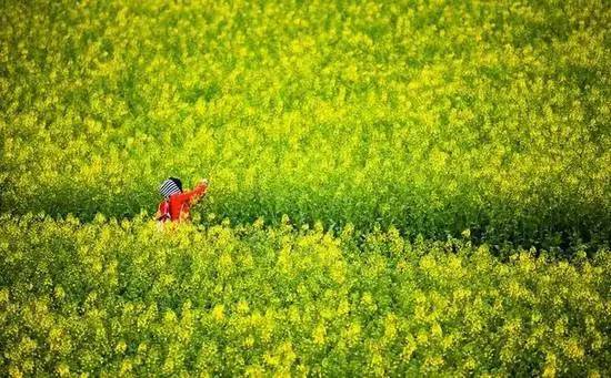 弥勒到江西高铁票价多少?-第3张图片-花冠旅游服务 弥勒到江西高铁票价多少?-第3张图片-花冠旅游服务