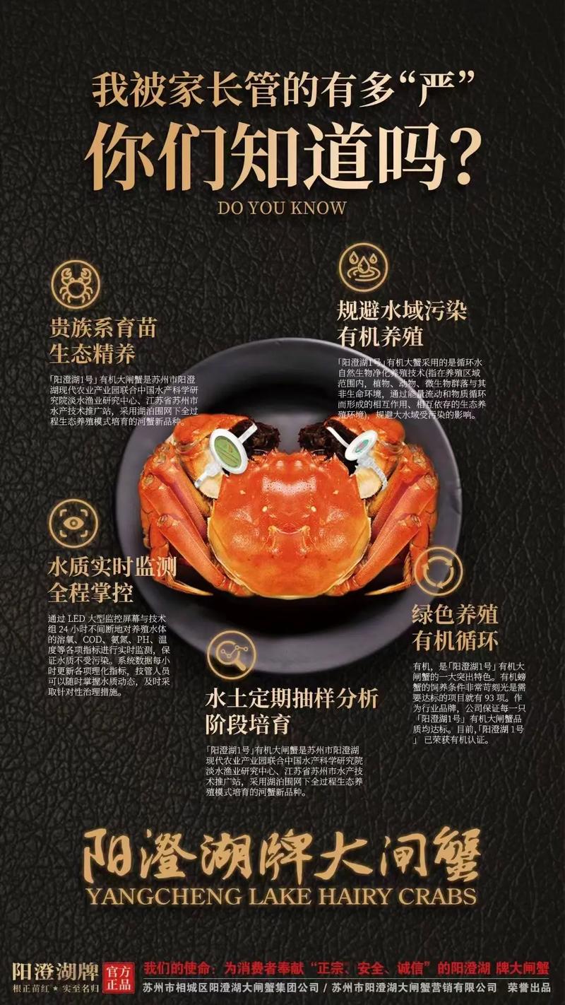 新疆阳澄湖大闸蟹加盟靠谱吗?-第1张图片-花冠旅游服务 新疆阳澄湖大闸蟹加盟靠谱吗?-第1张图片-花冠旅游服务