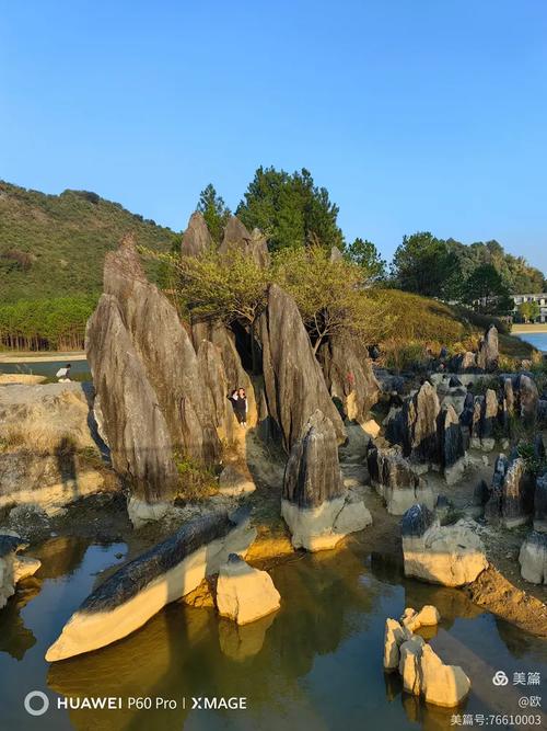 江西溪省级森林公园有何特色?-第3张图片-花冠旅游服务 江西溪省级森林公园有何特色?-第3张图片-花冠旅游服务