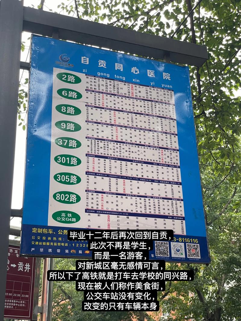 江西肿瘤医院公交路线有哪些？-第2张图片-花冠旅游服务