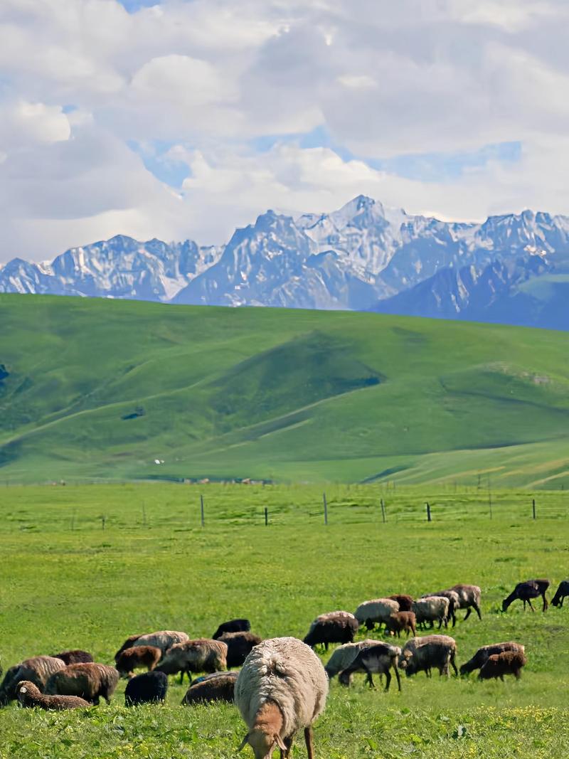 新疆伊犁有哪些必打卡的景点？-第2张图片-花冠旅游服务
