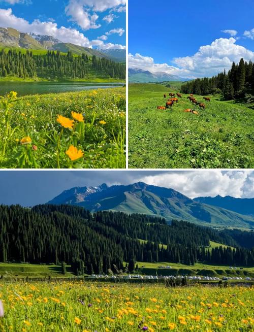 新疆伊犁有哪些必打卡的景点？-第3张图片-花冠旅游服务