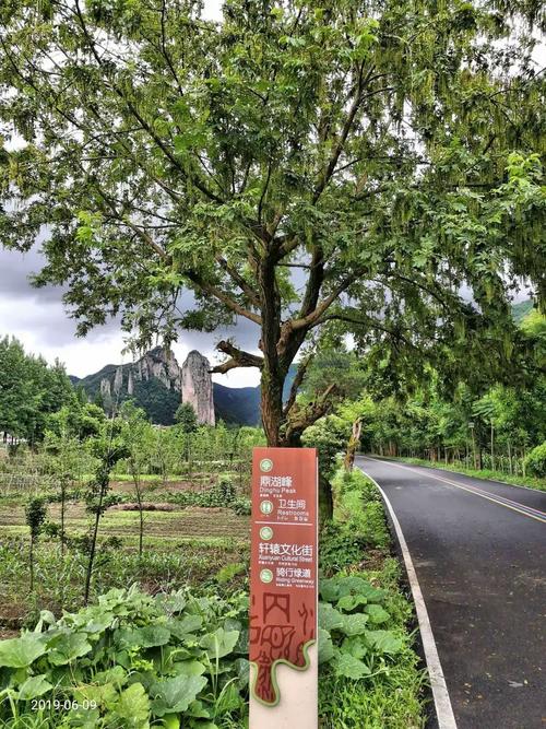 缙云到福建高铁时刻表最新版是?-第2张图片-花冠旅游服务 缙云到福建高铁时刻表最新版是?-第2张图片-花冠旅游服务