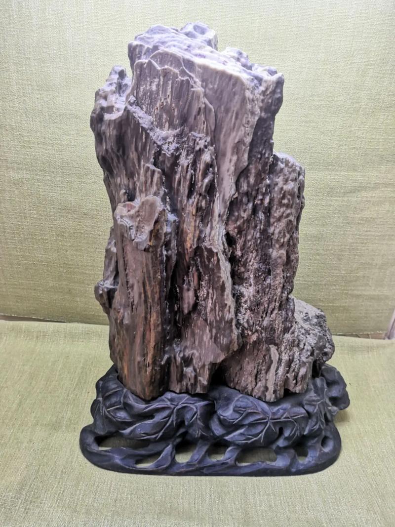 新疆硅化木图片及价格多少?-第1张图片-花冠旅游服务 新疆硅化木图片及价格多少?-第1张图片-花冠旅游服务