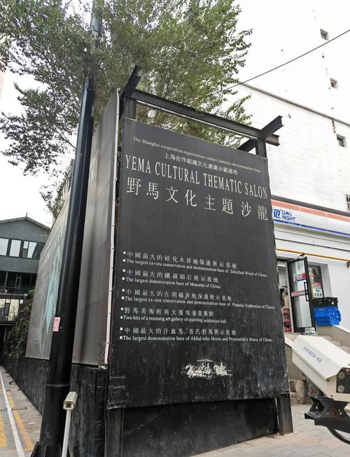 新疆乌鲁木齐野马国际有什么特色?-第1张图片-花冠旅游服务 新疆乌鲁木齐野马国际有什么特色?-第1张图片-花冠旅游服务