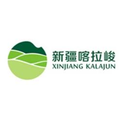 新疆旅游投资管理公司有何独特优势？-第2张图片-花冠旅游服务