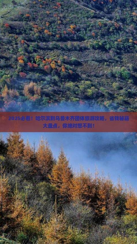 哈尔滨到乌鲁木齐怎么走最便捷?-第1张图片-花冠旅游服务 哈尔滨到乌鲁木齐怎么走最便捷?-第1张图片-花冠旅游服务