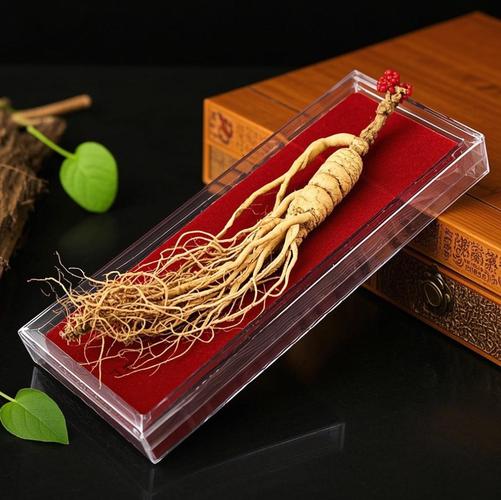 上海长江西路塑料市场现状如何？-第3张图片-花冠旅游服务