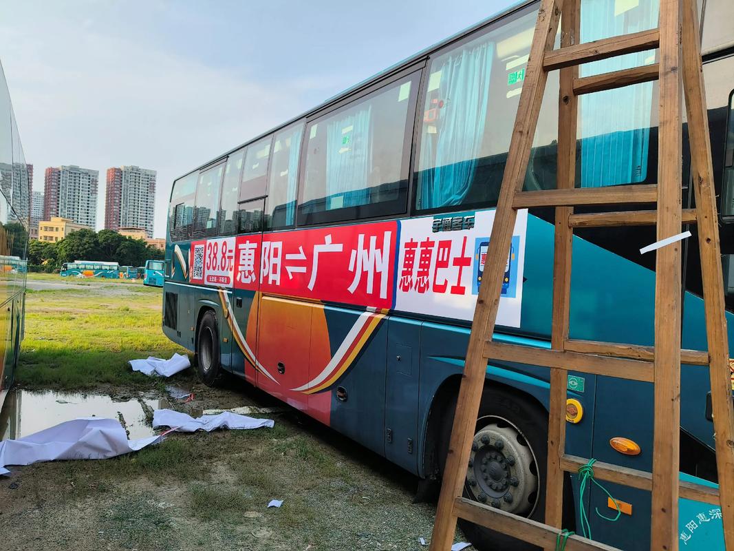 江西信丰到惠阳汽车票怎么买?-第1张图片-花冠旅游服务 江西信丰到惠阳汽车票怎么买?-第1张图片-花冠旅游服务