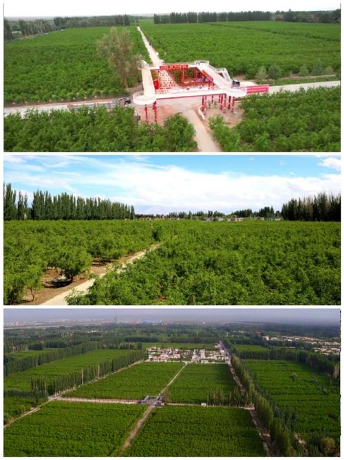 新疆若羌县有何独特魅力与故事?-第2张图片-花冠旅游服务 新疆若羌县有何独特魅力与故事?-第2张图片-花冠旅游服务