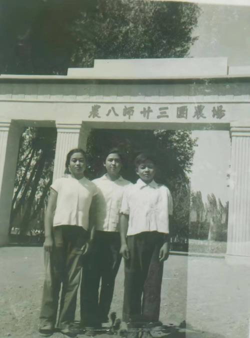 新疆石河子143团有何故事?-第3张图片-花冠旅游服务 新疆石河子143团有何故事?-第3张图片-花冠旅游服务