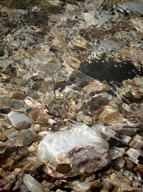 福建崇武海滨森林公园-第2张图片-花冠旅游服务