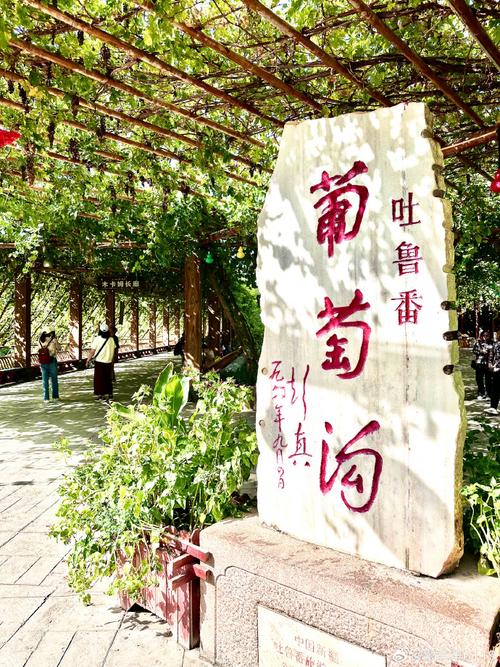 新疆葡萄沟究竟在新疆哪个位置？-第2张图片-花冠旅游服务
