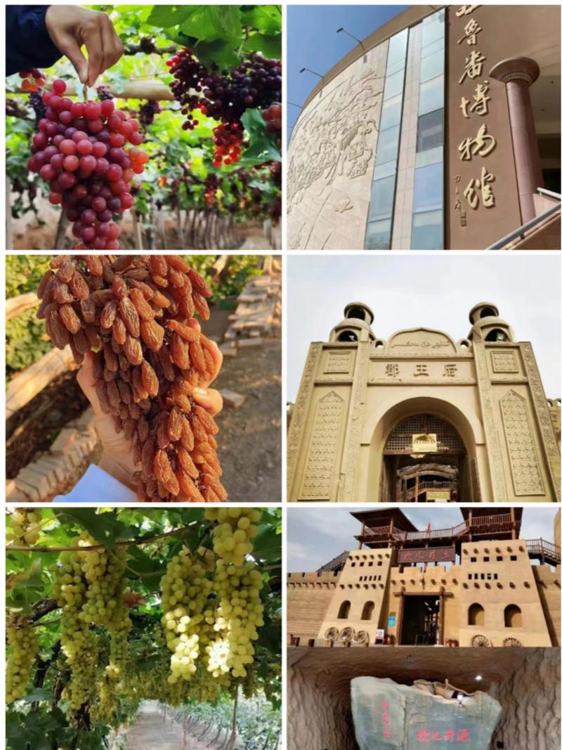 新疆葡萄沟究竟在新疆哪个位置？-第3张图片-花冠旅游服务