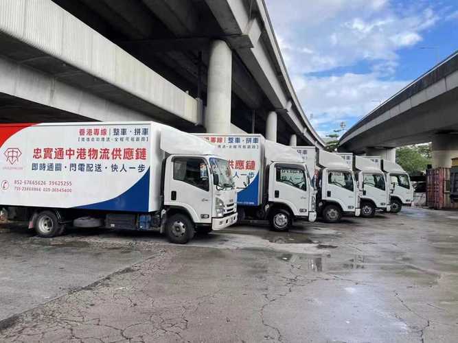 樟木头到福建物流专线怎么选？-第3张图片-花冠旅游服务