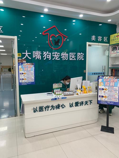 福建邵武宠物店位置在哪？-第3张图片-花冠旅游服务