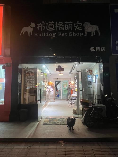 福建邵武宠物店位置在哪？-第2张图片-花冠旅游服务