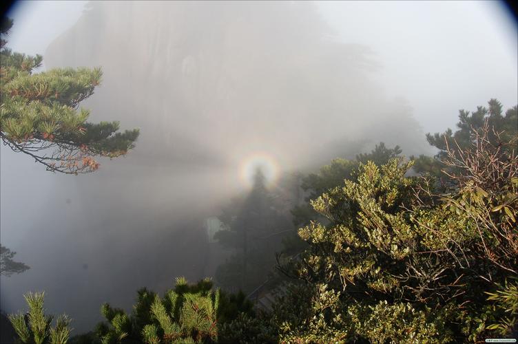 江西龙虎山国际大酒店有何特色？-第3张图片-花冠旅游服务
