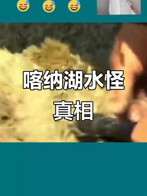 新疆哪个湖藏着神秘水怪？-第1张图片-花冠旅游服务