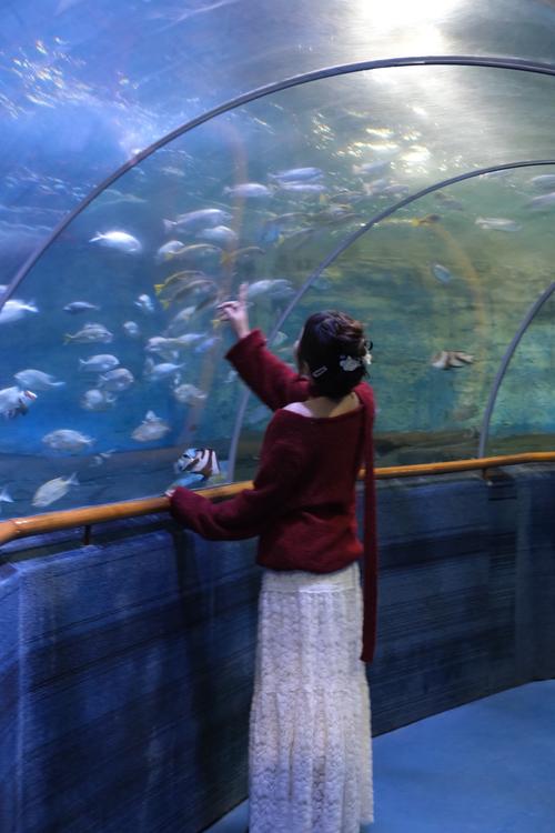 厦门海底世界在哪里？-第1张图片-花冠旅游服务