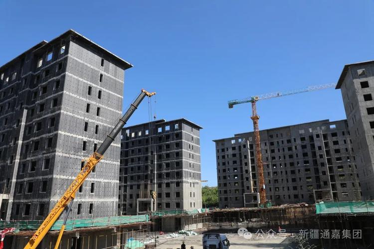 新疆乌鲁木齐通嘉集团是做什么的？-第1张图片-花冠旅游服务